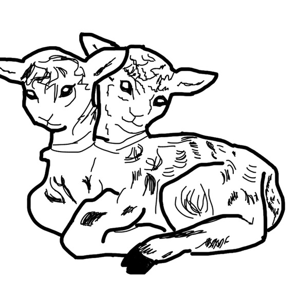 Meet your Posher, Alma - Picture 1 of 1